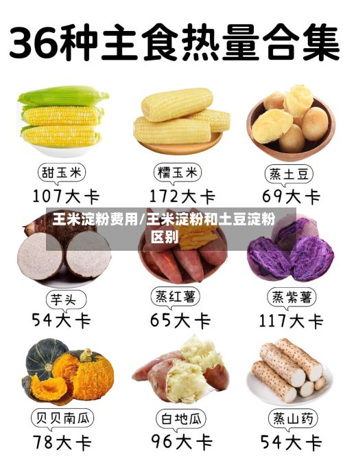 王米淀粉费用/王米淀粉和土豆淀粉区别-第2张图片