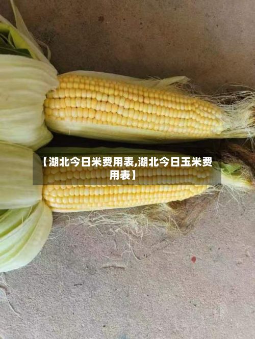 【湖北今日米费用表,湖北今日玉米费用表】