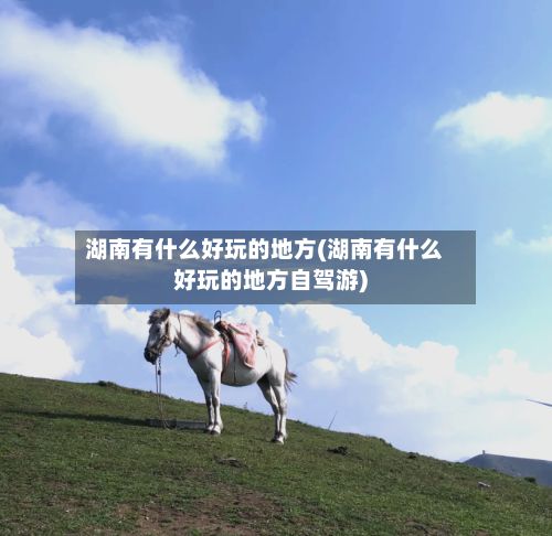 湖南有什么好玩的地方(湖南有什么好玩的地方自驾游)-第2张图片