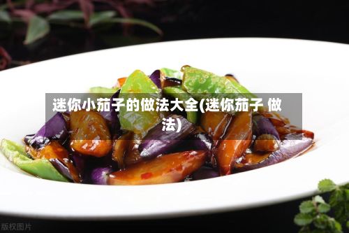 迷你小茄子的做法大全(迷你茄子 做法)