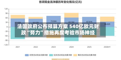 法国政府公布预算方案 540亿欧元财政“努力	”措施再度考验市场神经-第3张图片
