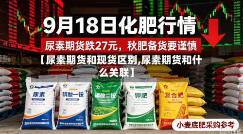 【尿素期货和现货区别,尿素期货和什么关联】