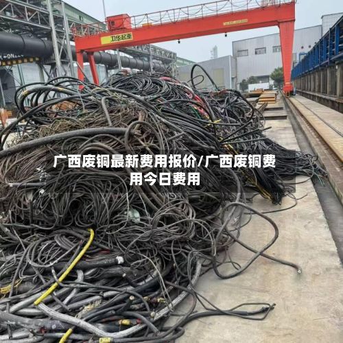 广西废铜最新费用报价/广西废铜费用今日费用