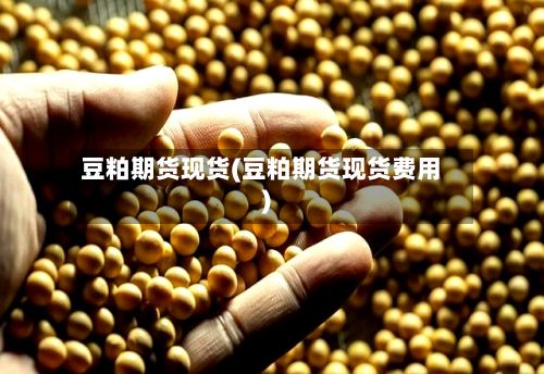 豆粕期货现货(豆粕期货现货费用)