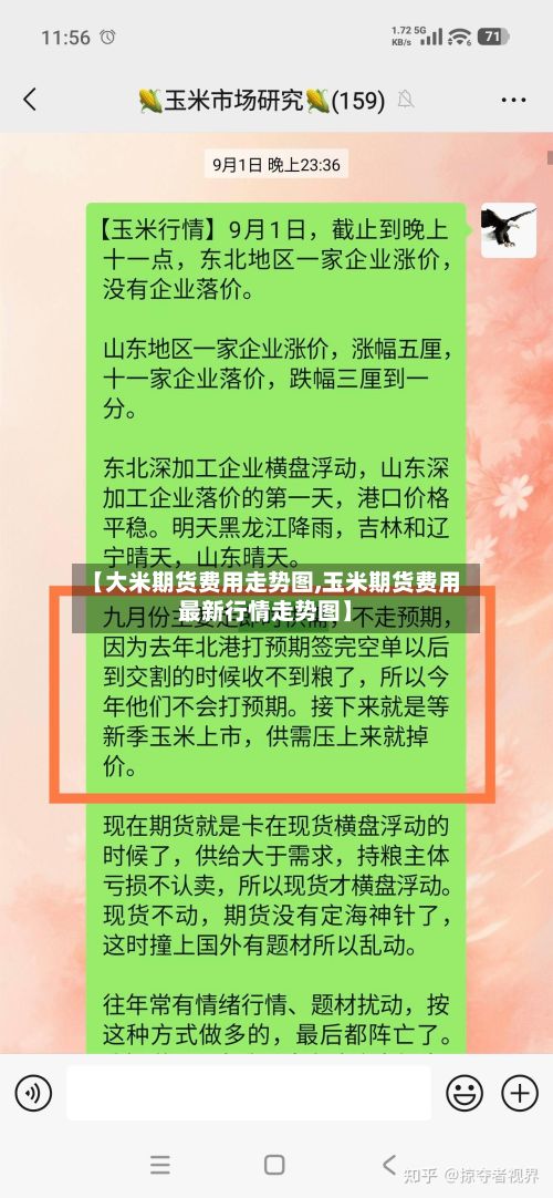 【大米期货费用走势图,玉米期货费用最新行情走势图】-第3张图片