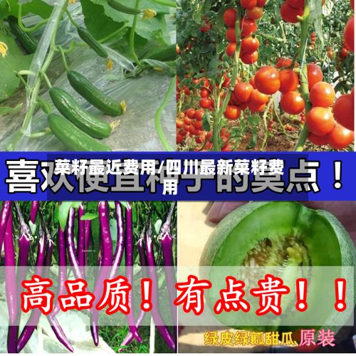 菜籽最近费用/四川最新菜籽费用-第3张图片