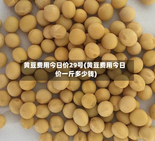 黄豆费用今日价29号(黄豆费用今日价一斤多少钱)-第2张图片