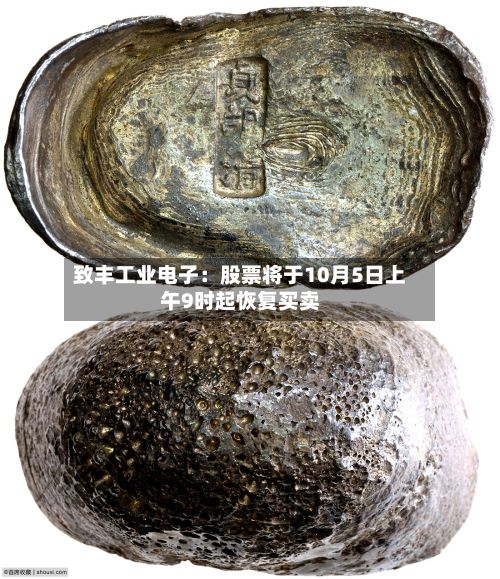 致丰工业电子：股票将于10月5日上午9时起恢复买卖-第2张图片