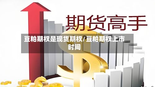 豆粕期权是现货期权/豆粕期权上市时间-第2张图片