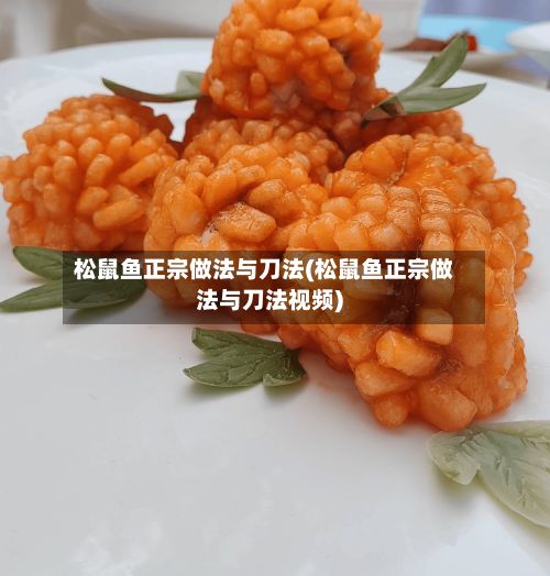 松鼠鱼正宗做法与刀法(松鼠鱼正宗做法与刀法视频)-第2张图片