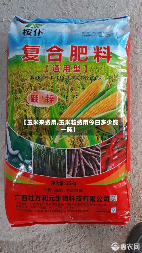 【玉米来费用,玉米粒费用今日多少钱一吨】-第2张图片