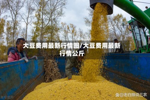 大豆费用最新行情图/大豆费用最新行情公斤-第2张图片