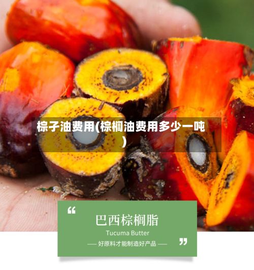 棕孑油费用(棕榈油费用多少一吨)-第3张图片