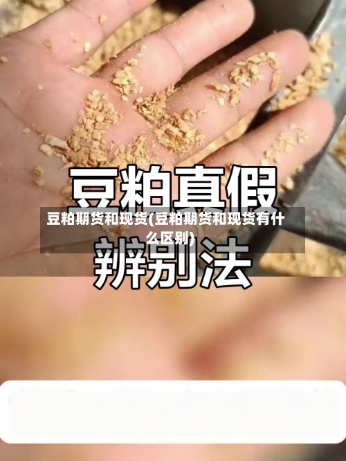 豆粕期货和现货(豆粕期货和现货有什么区别)