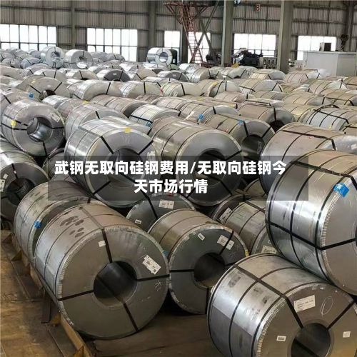 武钢无取向硅钢费用/无取向硅钢今天市场行情