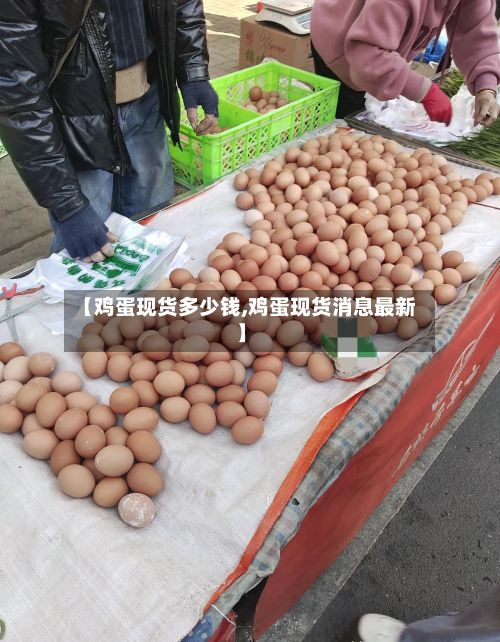 【鸡蛋现货多少钱,鸡蛋现货消息最新】