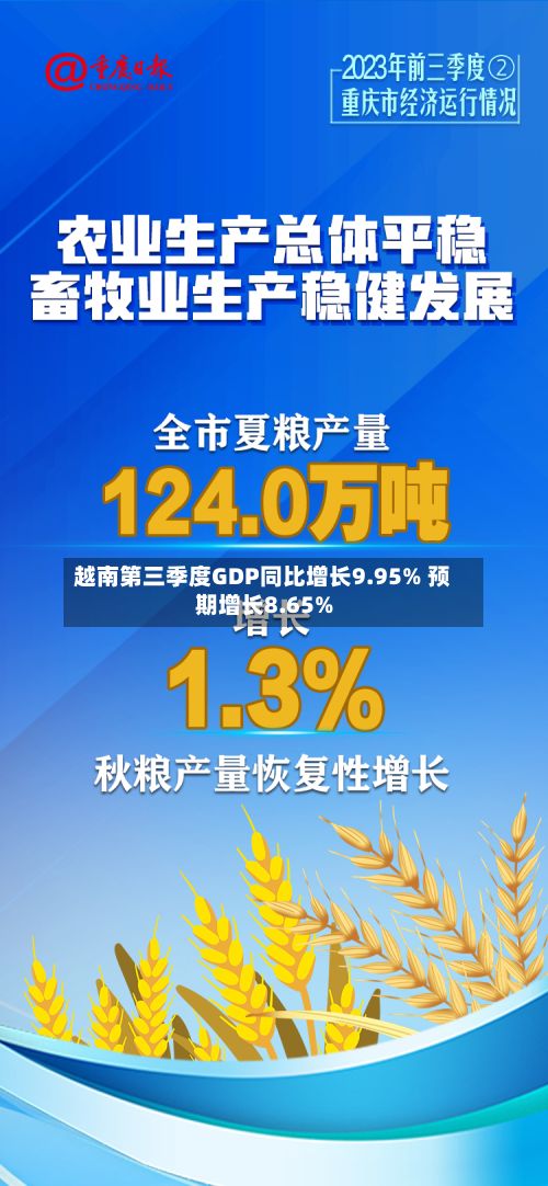 越南第三季度GDP同比增长9.95% 预期增长8.65%-第2张图片