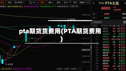 pta期货货费用(PTA期货费用)-第2张图片