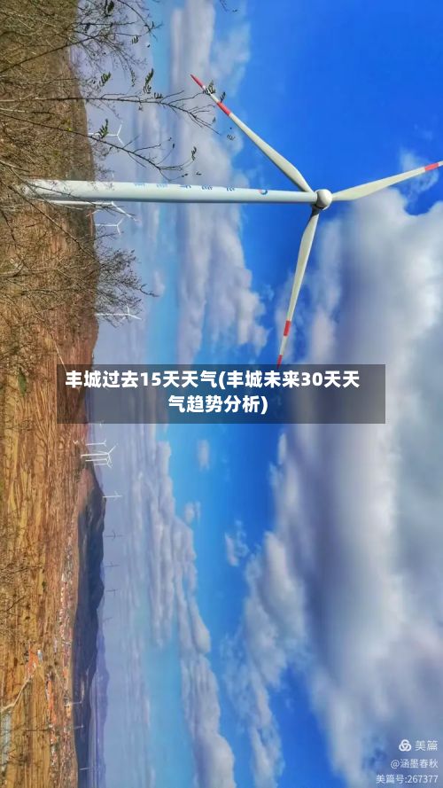 丰城过去15天天气(丰城未来30天天气趋势分析)-第2张图片
