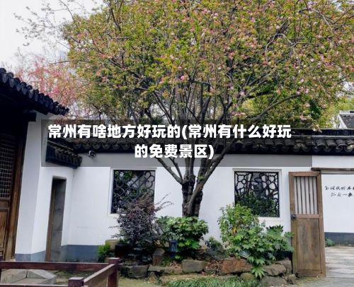 常州有啥地方好玩的(常州有什么好玩的免费景区)-第2张图片