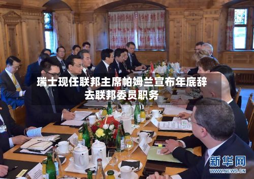 瑞士现任联邦主席帕姆兰宣布年底辞去联邦委员职务-第2张图片