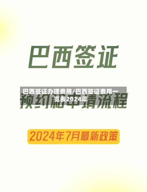 巴西签证办理费用/巴西签证费用一览表2024年-第3张图片