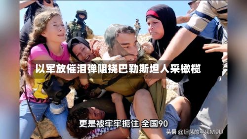 以军放催泪弹阻挠巴勒斯坦人采橄榄