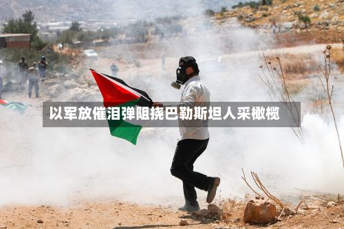 以军放催泪弹阻挠巴勒斯坦人采橄榄-第2张图片
