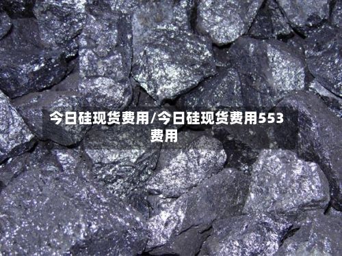 今日硅现货费用/今日硅现货费用553费用-第2张图片