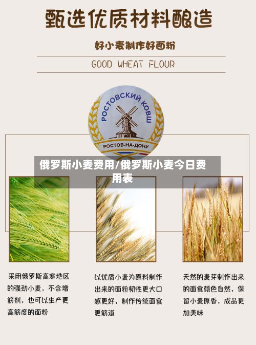 俄罗斯小麦费用/俄罗斯小麦今日费用表-第3张图片