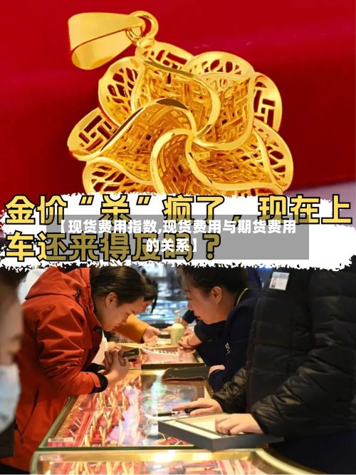 【现货费用指数,现货费用与期货费用的关系】-第2张图片