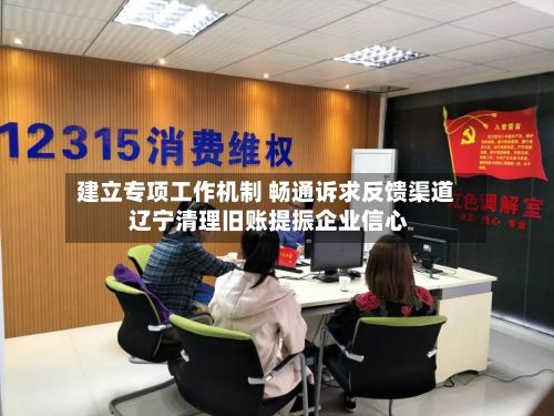 建立专项工作机制 畅通诉求反馈渠道 辽宁清理旧账提振企业信心-第2张图片