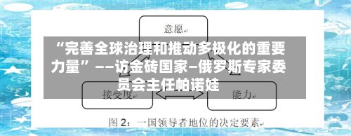 “完善全球治理和推动多极化的重要力量	” ——访金砖国家—俄罗斯专家委员会主任帕诺娃-第2张图片