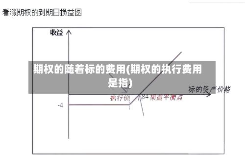 期权的随着标的费用(期权的执行费用是指)