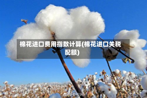 棉花进口费用指数计算(棉花进口关税配额)-第2张图片