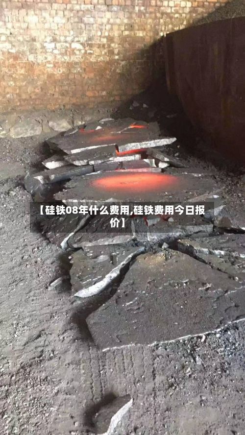 【硅铁08年什么费用,硅铁费用今日报价】-第2张图片