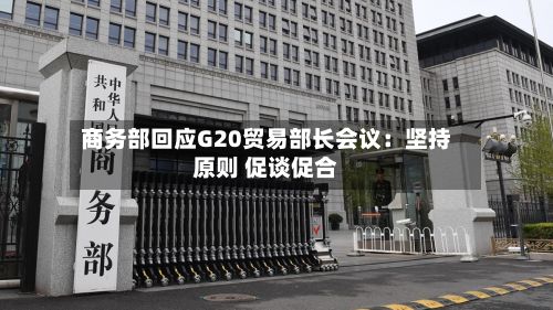商务部回应G20贸易部长会议：坚持原则 促谈促合-第3张图片