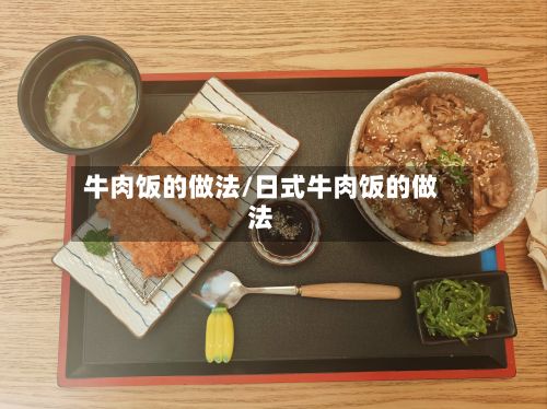 牛肉饭的做法/日式牛肉饭的做法