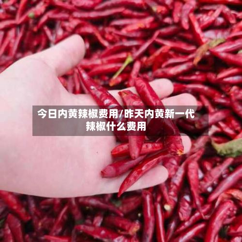 今日内黄辣椒费用/昨天内黄新一代辣椒什么费用