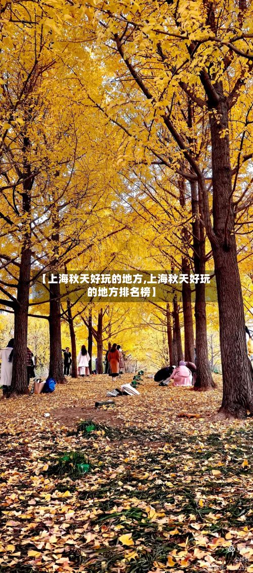 【上海秋天好玩的地方,上海秋天好玩的地方排名榜】-第3张图片
