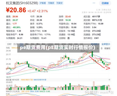 pe期货费用(pE期货实时行情报价)-第2张图片
