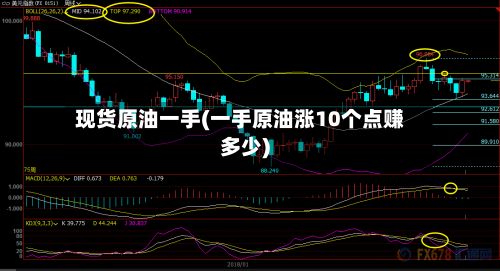 现货原油一手(一手原油涨10个点赚多少)-第2张图片