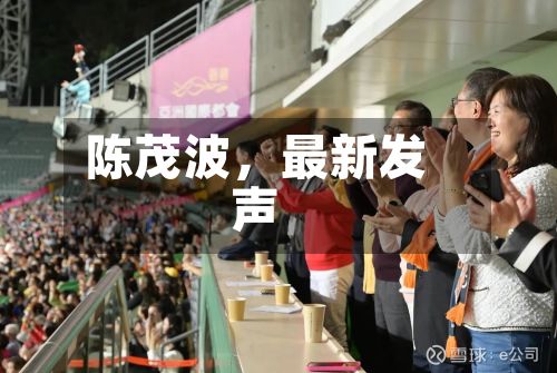 陈茂波	，最新发声-第2张图片