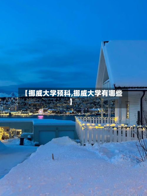 【挪威大学预科,挪威大学有哪些】