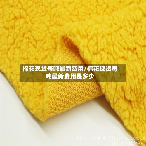 棉花现货每吨最新费用/棉花现货每吨最新费用是多少