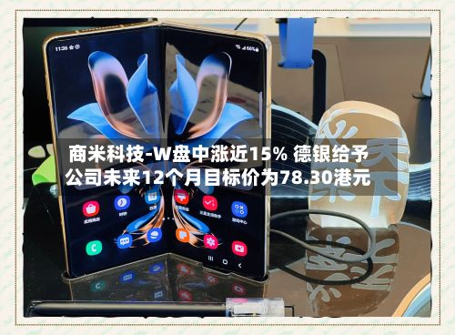 商米科技-W盘中涨近15% 德银给予公司未来12个月目标价为78.30港元-第2张图片