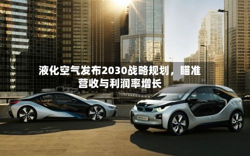 液化空气发布2030战略规划，瞄准营收与利润率增长-第2张图片