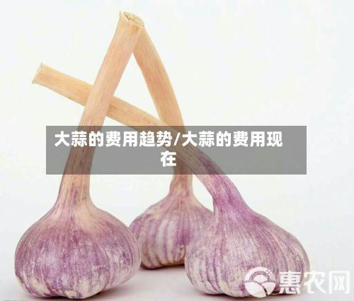 大蒜的费用趋势/大蒜的费用现在-第2张图片