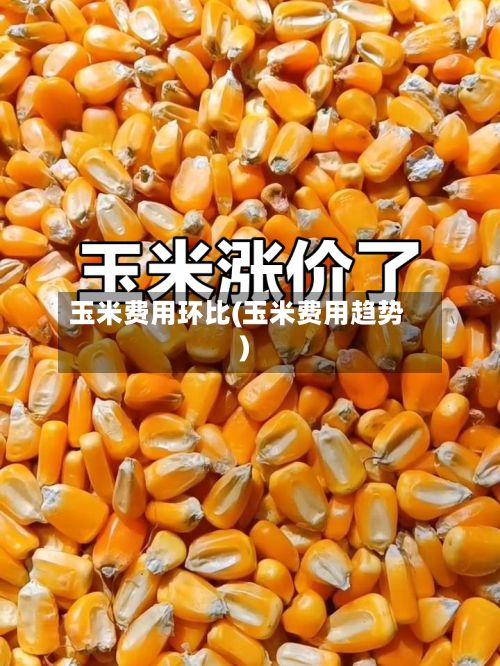 玉米费用环比(玉米费用趋势)-第3张图片