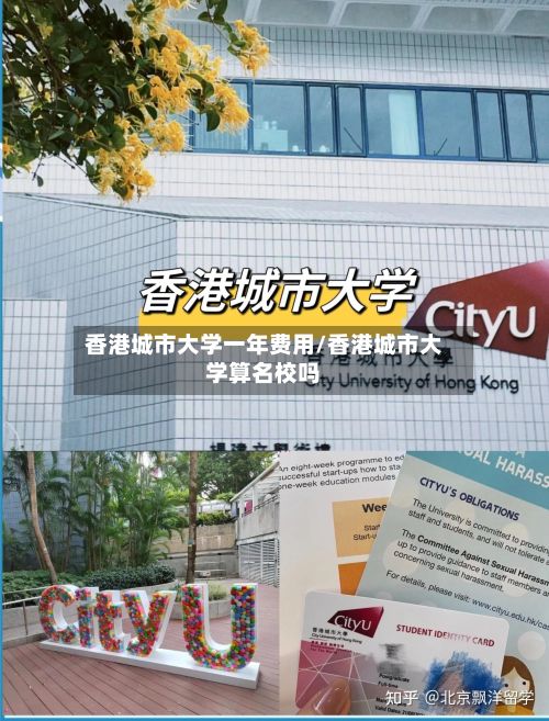 香港城市大学一年费用/香港城市大学算名校吗